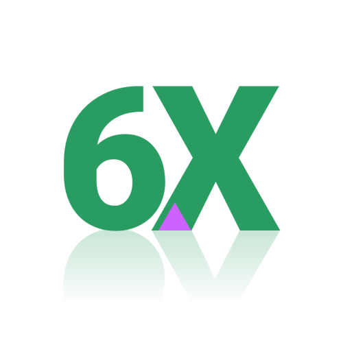 6x icon
